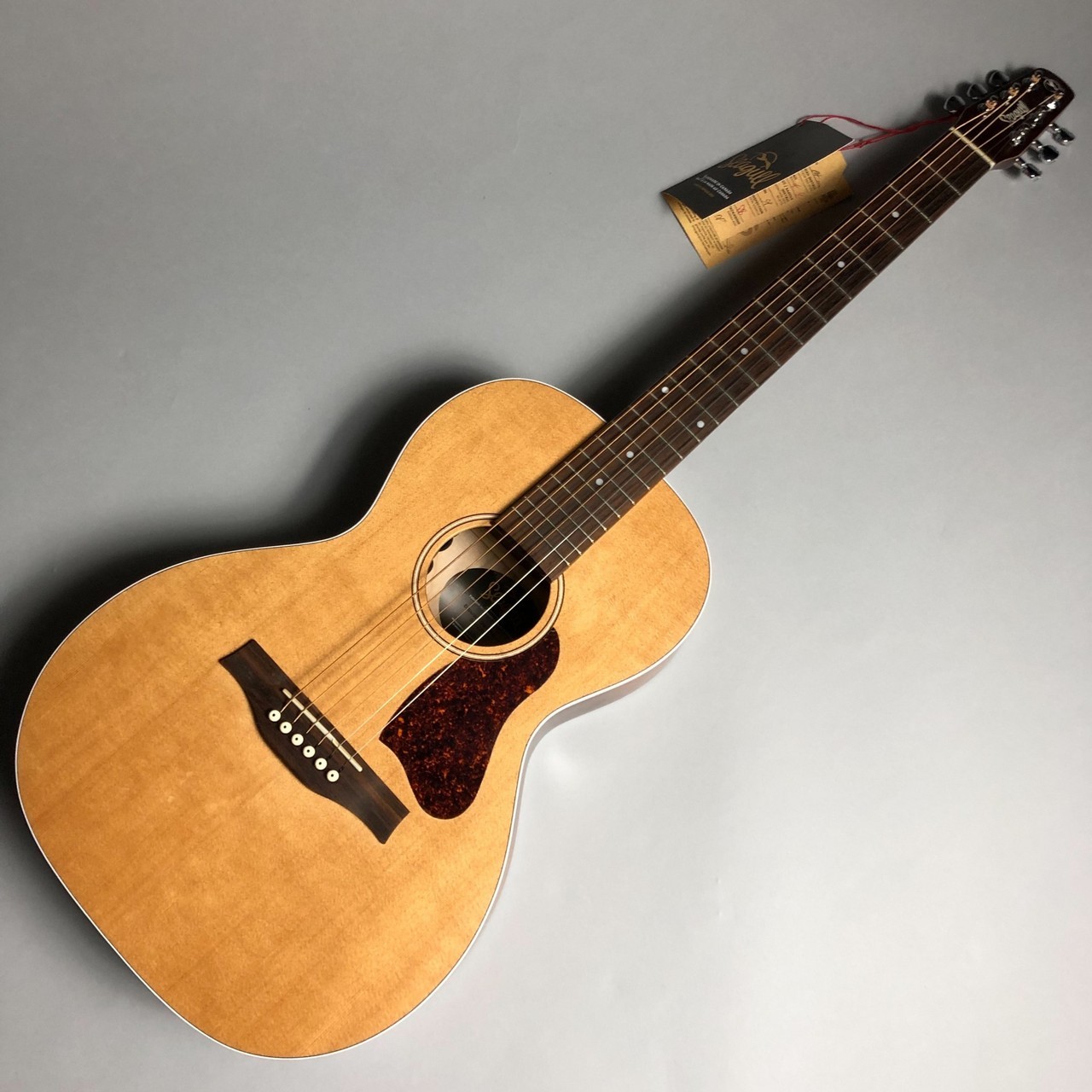 アコースティックギターSeagull Entourage Grand A/E