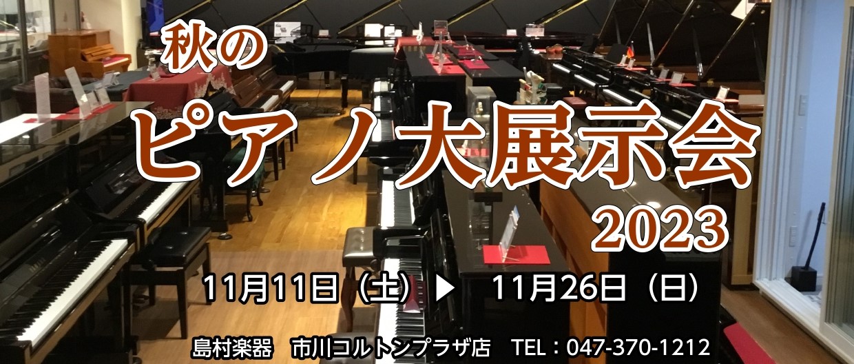 Rock'n'roller光栄堂楽器 Rock'n'roller光栄堂楽器