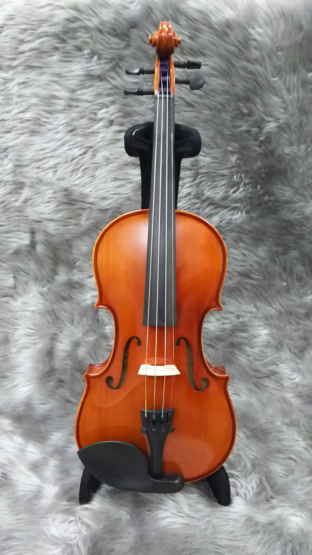 Andreas Eastman VL80 1/10 2018年製 バイオリン - rehda.com