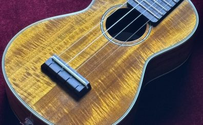 ~月2回からはじめる~初心者にやさしいウクレレ教室開講中♪