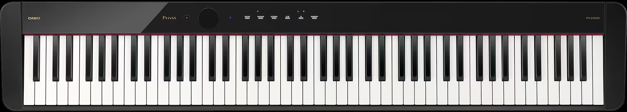 CASIOPX-S5000