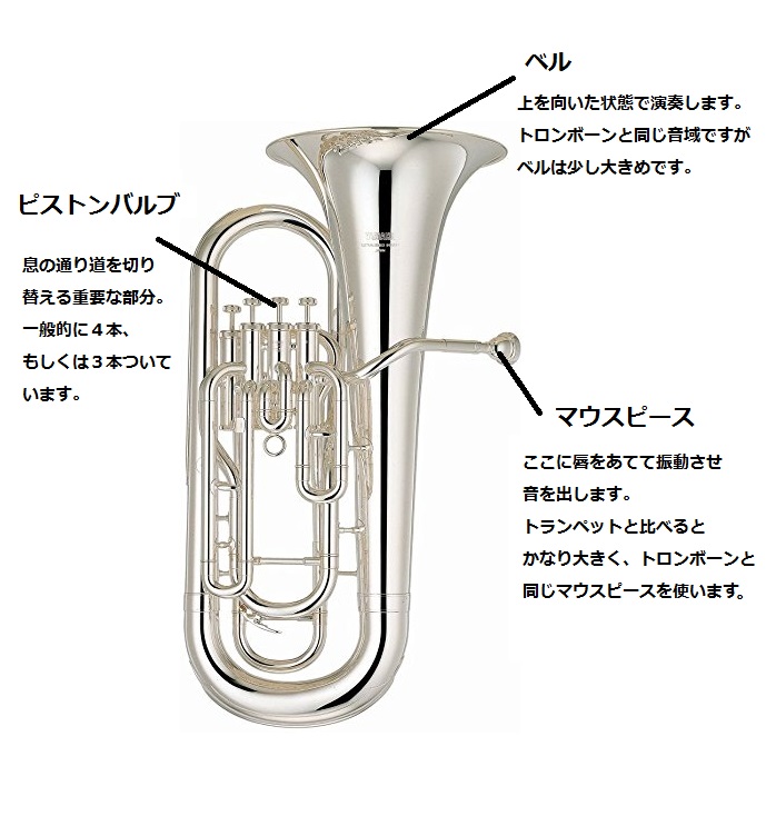 管楽器】今さら聞けない！ユーフォニアムってどんな楽器？｜島村楽器