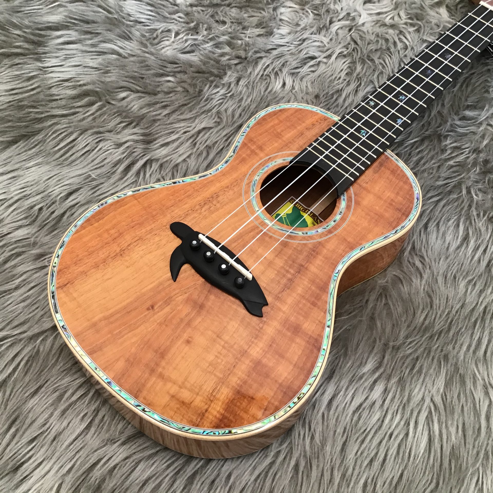 Big Island ウクレレ ビッグアイランド 専用ハードケース付き - 楽器/器材 Big Island ウクレレ ビッグアイランド 専用ハードケース付き - 楽器/器材