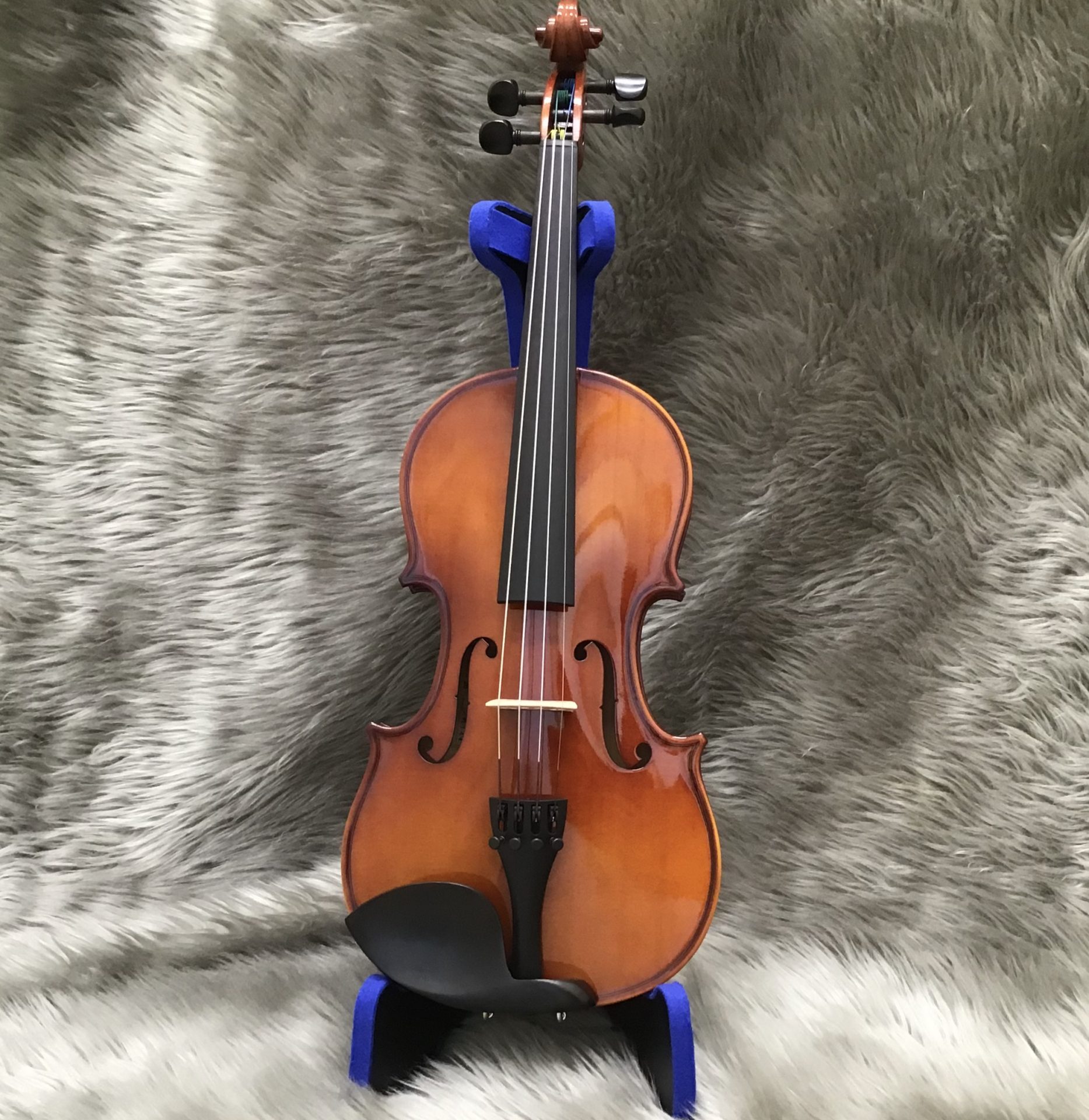 弦楽器総合ページ】展示バイオリンのラインナップご紹介！※2021年3月26