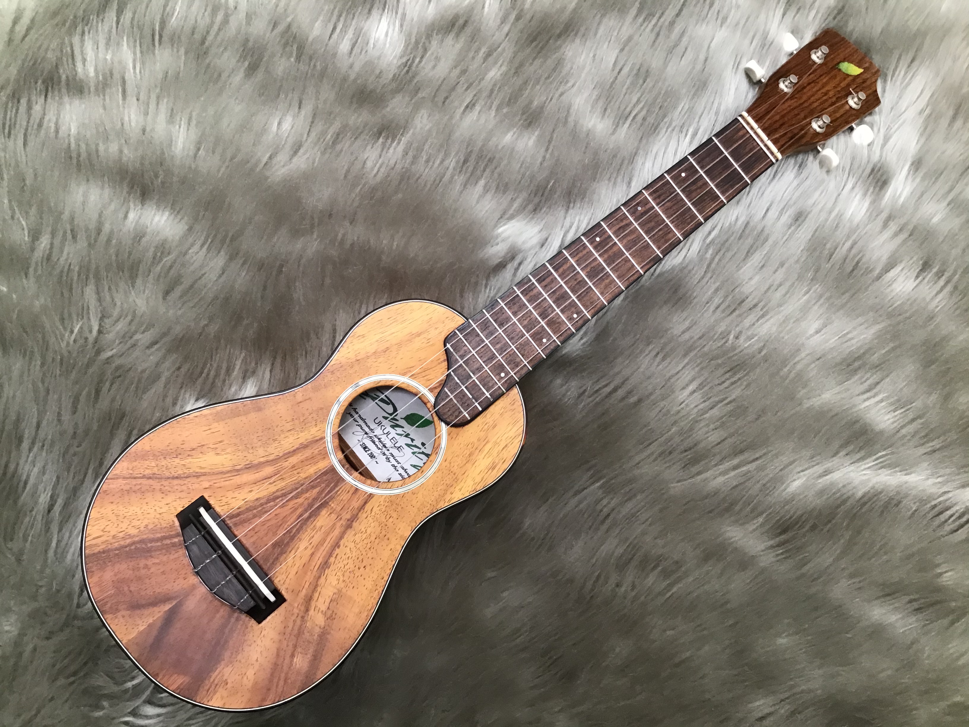 ウクレレ】Purity ukulele（ピュアティウクレレ）を展示中｜島村楽器