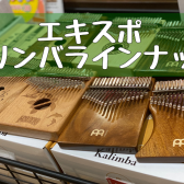 エレキカリンバも21KEYも入荷しました！エキスポシティ店カリンバラインナップ