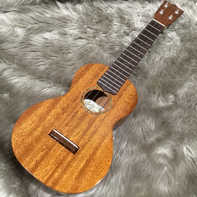 展示品リフレッシュ中!AMC-ABALONE