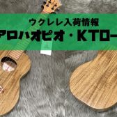 【ウクレレ】KoALOHA Opioテナーウクレレ入荷
