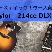 【アコースティックギター】Taylor 214ce Rosewood DLX再入荷！