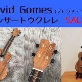 【ウクレレ】ハワビルダーDavid Gomes（デビッド・ゴメス）を初入荷！