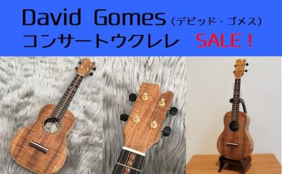 【ウクレレ】ハワビルダーDavid Gomes（デビッド・ゴメス）を初入荷！