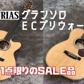 【アコースティックギター】アストリアスより2本展示スタート
