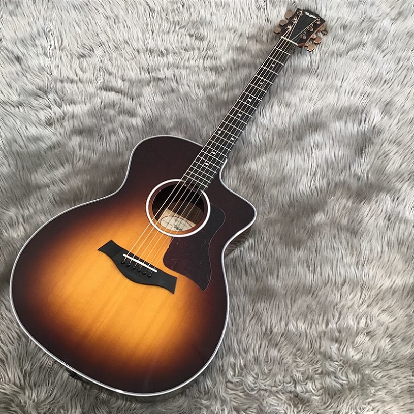 Taylor人気の200番台214ce Rosewood DLX