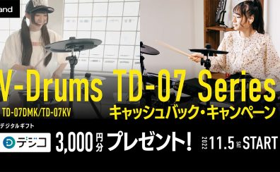 【キャッシュバックキャンペーン】Roland電子ドラムTD-07シリーズ