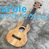 【ウクレレ】Ana’oleのマンゴーウクレレが入荷！【音色動画あり】