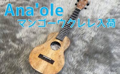 【ウクレレ】Ana’oleのマンゴーウクレレが入荷！【音色動画あり】