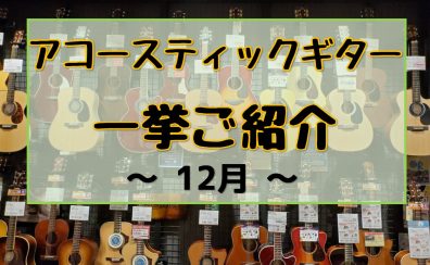 【アコースティックギター】展示ラインナップご紹介