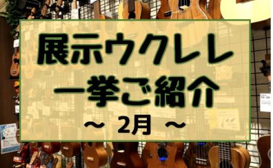 【ウクレレ】展示ラインナップご紹介