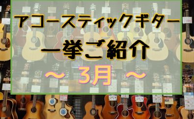 【アコースティックギター】展示ラインナップご紹介