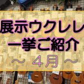 【ウクレレ】展示ラインナップご紹介 ~4月編~