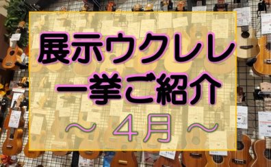 【ウクレレ】展示ラインナップご紹介 ~4月編~