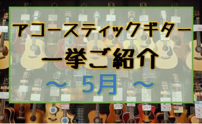 【アコースティックギター】展示ラインナップご紹介 ~5月~