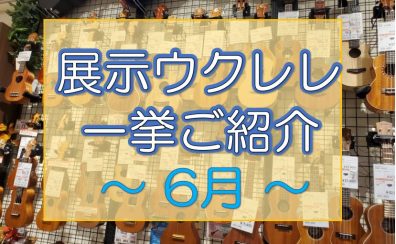 【ウクレレ】展示ラインナップご紹介 ~6月編~