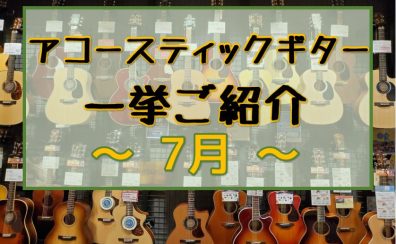 【アコースティックギター】展示ラインナップご紹介 ~7月~
