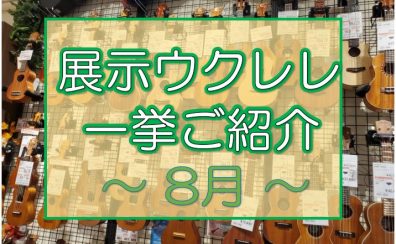 【ウクレレ】展示ラインナップご紹介 ~8月編~