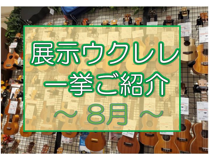 8月のウクレレラインナップご紹介！9月の鈴木智貴イベントも告知しております。