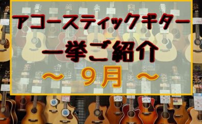 【アコースティックギター】展示ラインナップご紹介 ~9月~
