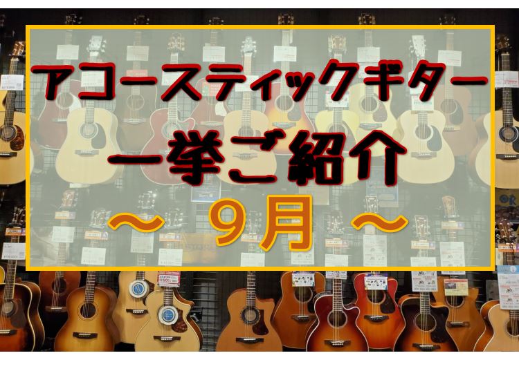 島村楽器エキスポシティ店のHPをご覧いただき誠にありがとうございます。 担当スタッフの石本と西山がある程度こだわりを持って品揃えを考えております。皆さまが気に入る1本が見つかるようサポートいたしますので、お気軽にご相談くださいませ。 まず、これからギターを始めるという方はコチラをご覧ください！ CO […]