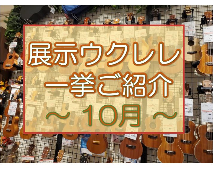 9月に鈴木智貴さんの新刊発刊イベントを開催し、反省点もございますが無事終えることができました！ご参加いただいた皆さま、ライブをご覧になった方、またアーティストイベントは企画しますので気長にお待ちくださいませ～～ そして9月に予想を上回るお問い合わせをいただき、わたしのお気に入りたちが旅立ちました.. […]