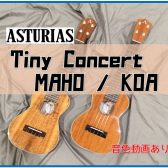 【ウクレレ】アストリアスよりTiny Concertシリーズ入荷