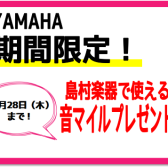 【YAMAHA電子ピアノ】12/28まで！島村楽器モバイルアプリ　マイル付与キャンペーン開催中