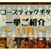 【アコースティックギター】展示ラインナップご紹介 ~11月~