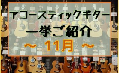 【アコースティックギター】展示ラインナップご紹介 ~11月~