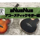 【アコースティックギター】aNueNue（アヌエヌエ）ギター入荷！試奏動画あり