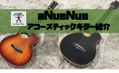 【アコースティックギター】aNueNue（アヌエヌエ）ギター入荷！試奏動画あり