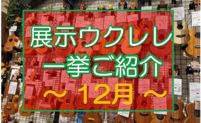 【ウクレレ】展示ラインナップご紹介 ~12月編~