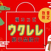 【ウクレレ】展示ラインナップご紹介 ~1月~