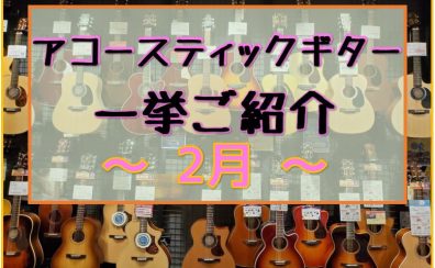 【アコースティックギター】展示ラインナップご紹介 ~2月~