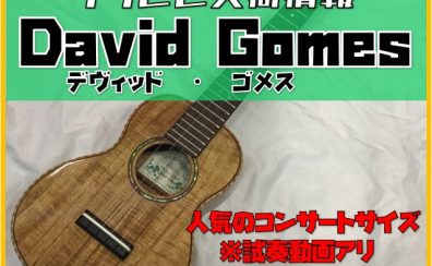 【ウクレレ】DAVID GOMESが久しぶりに入荷！