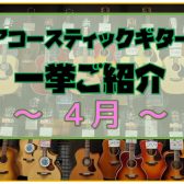 【アコースティックギター】展示ラインナップご紹介 ~4月~