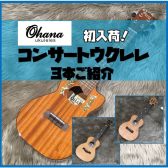 【ウクレレ】Ohana(オハナ)コンサートウクレレ展示開始