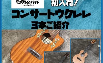 【ウクレレ】Ohana(オハナ)コンサートウクレレ展示開始