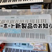 【キーボード新製品】CASIO”LK-335”入荷いたしました！