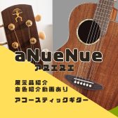 【アコースティックギター】aNueNueのエントリーモデル展示中【動画あり】