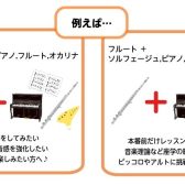 【予約制音楽教室】サロン会員様限定！オプション月2回コースが追加できる♪
