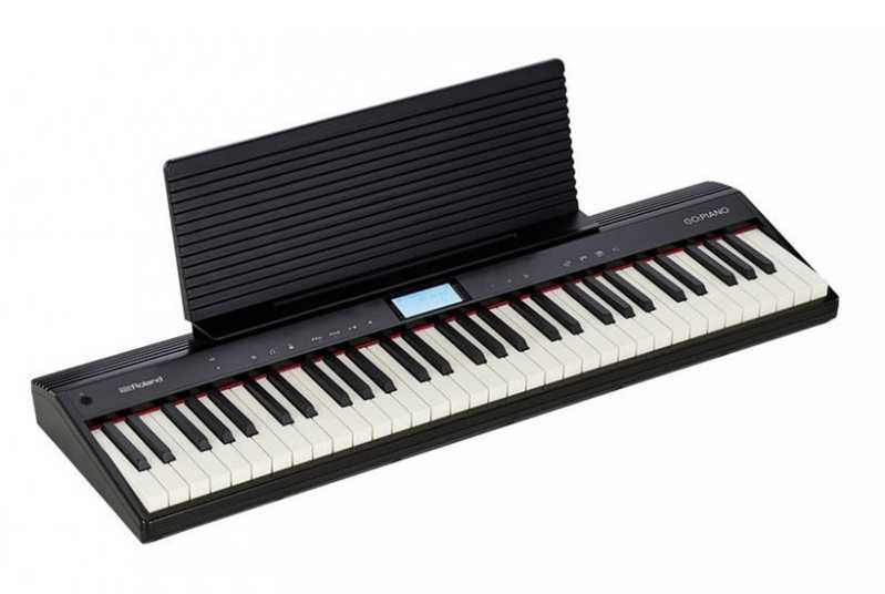 RolandGO-61P